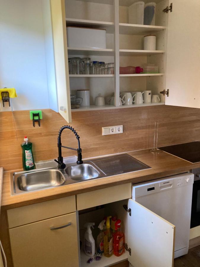Appartement Bergs Bahnhof à Ralingen Extérieur photo
